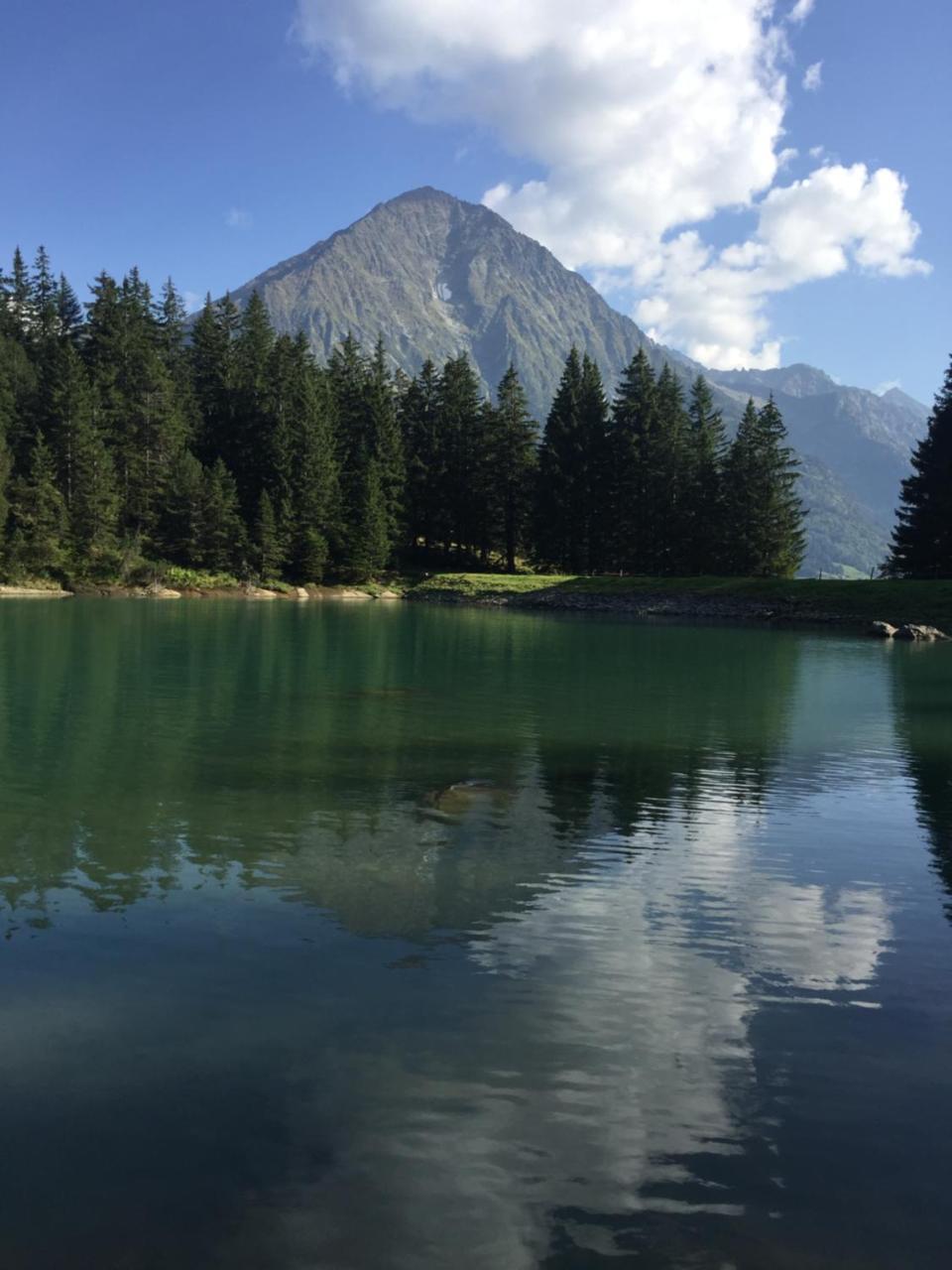 Gaestehaus Schaefli Intschi Экстерьер фото